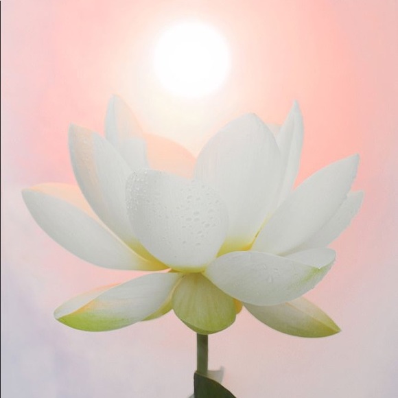 Meet your Posher, C - Picture 1 of 1